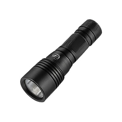 Dive torch