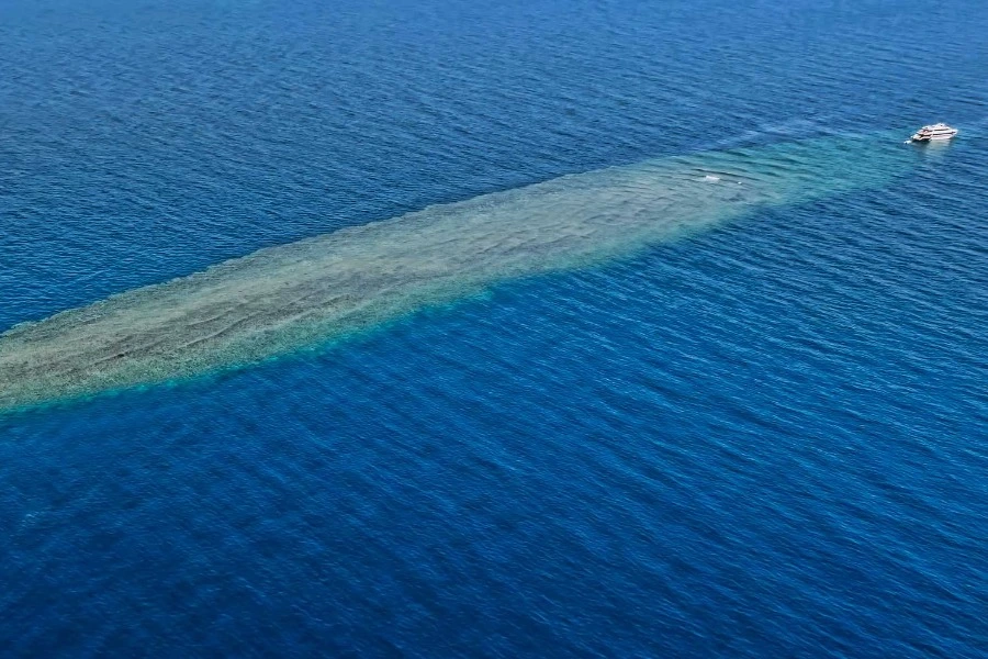 Elphinstone Reef