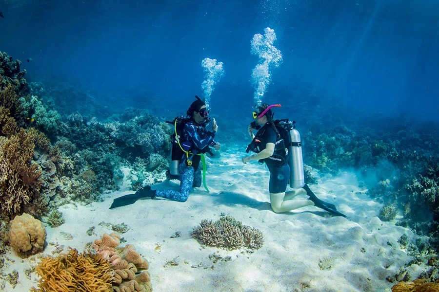 PADI Discover Scuba Diving