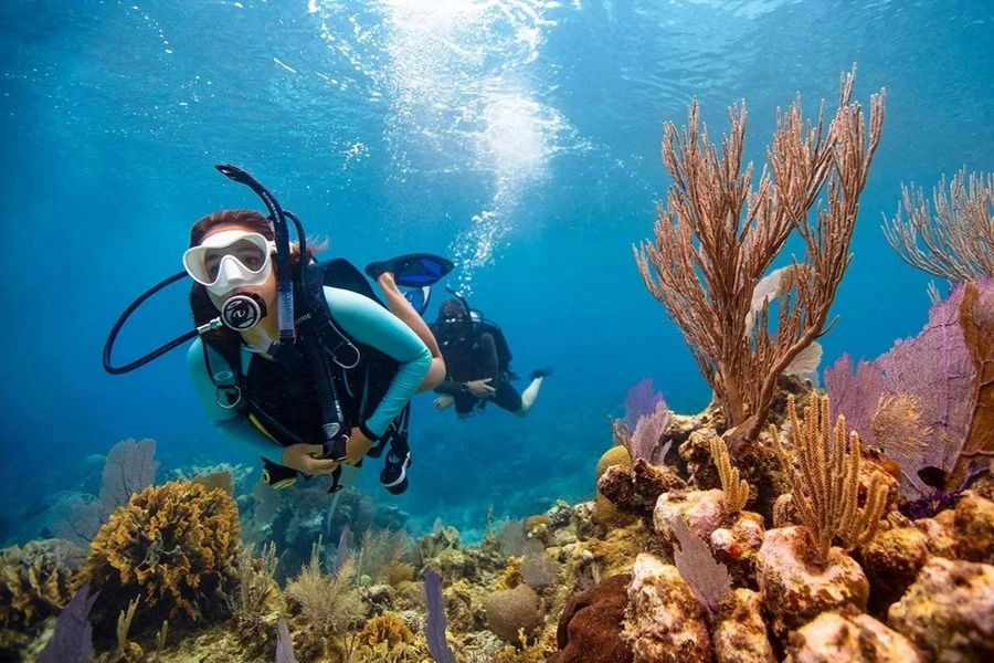 PADI Open Water