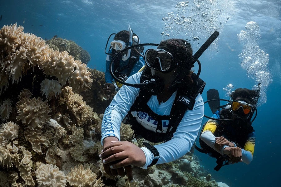 PADI Scuba Diver