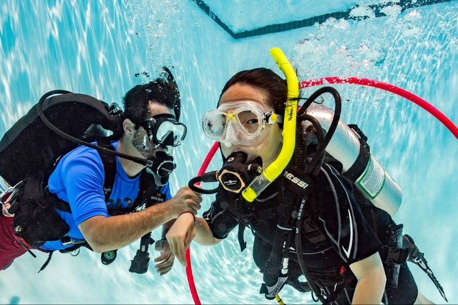 PADI Seal Team