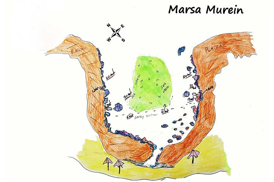 Marsa Murein
